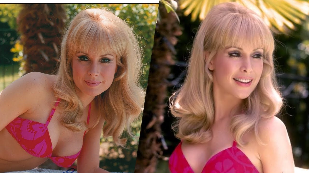 Barbara Eden stuns—rare bikini photos prove timeless beauty still shines.