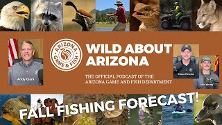 Fall Fishing in Arizona by Arizona Game And Fish 475 views 6 months ago 43 minutes