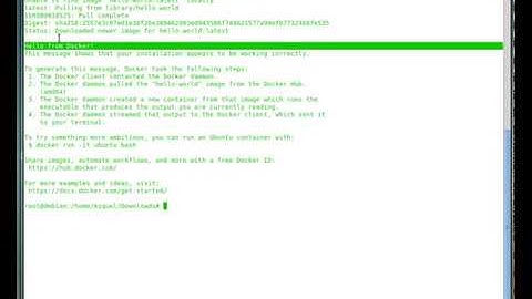 How to install Docker in a Debian Linux System
