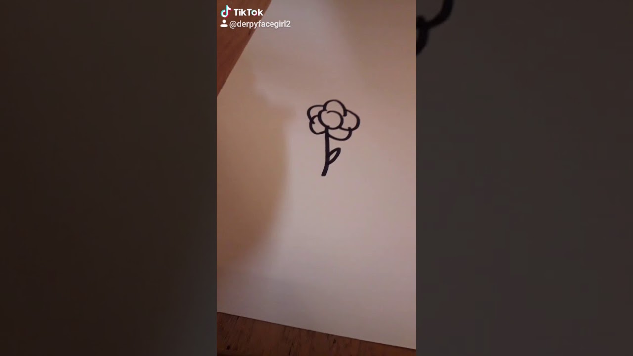 How to draw a rose(on tiktok)follow me at derpyfacegirl2 YouTube