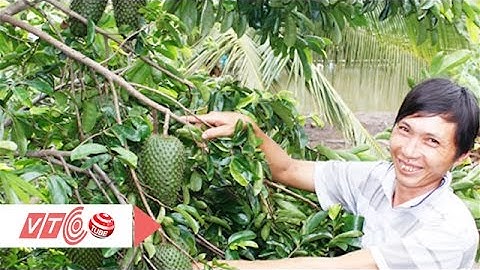 Mãng cầu xiêm tăng giá kỷ lục | VTC