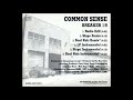 Common Sense Breaker 1 9 Slope Mix mp3