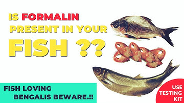 IS FORMALIN PRESENT IN YOUR FISH? II CANCER-INDUCING CHEMICAL  USED TO ILLEGALLY PRESERVE FISH