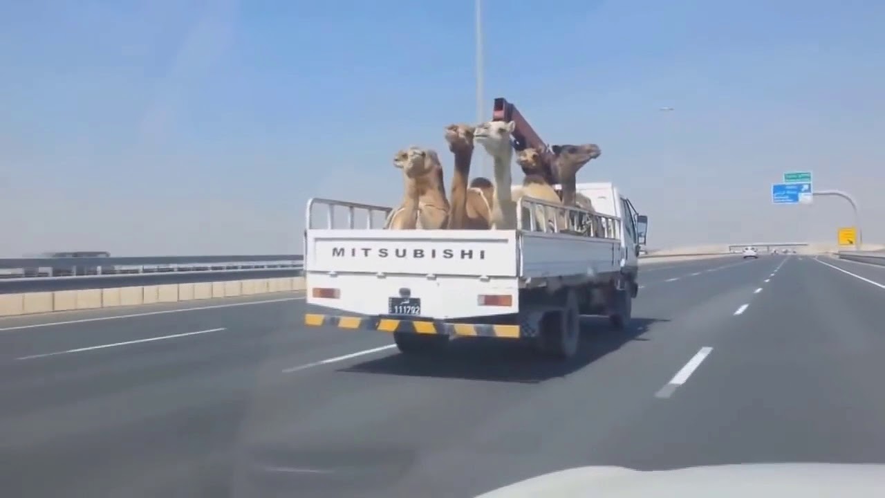 Youtube Funny Fail