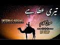Ateeq jazib poetry i sufism i sufi kalam i safeenaeaehsaas