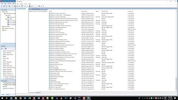 TMS XData: Windows Dienste für das Web erstellen