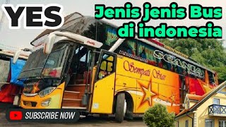 Jenis jenis Bus di Indonesia