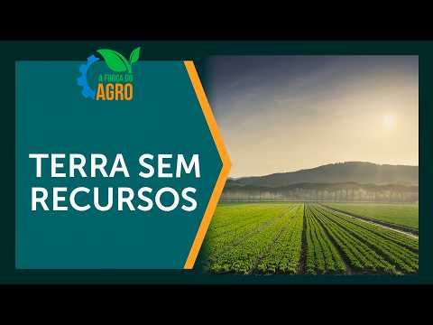Earth's Resources: Why Depletion Affects the Global Economy? | AFA, with Joice Maffezzolli