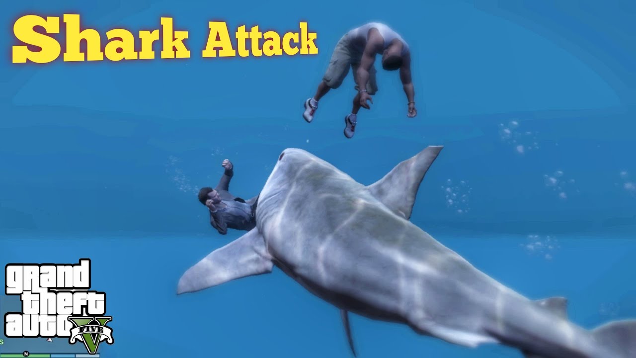 GTA V How To Find Megalodon Shark GTA 5 Gameplay 7 YouTube 