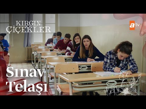 Üniversite sınavı... -