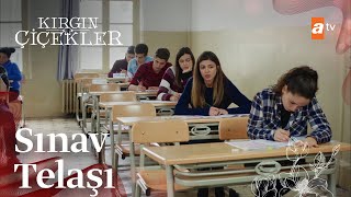 Üniversite Sınavı - Kırgın Çiçekler 76 Bölüm