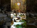 River flow in an autumn foliage colors mirroring the tranquility of the season