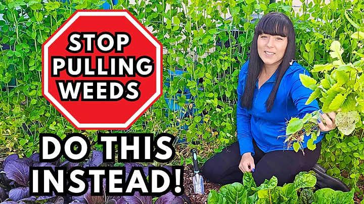 4 Genius Ways to NEVER Pull Weeds Again in Your Garden! thumbnail