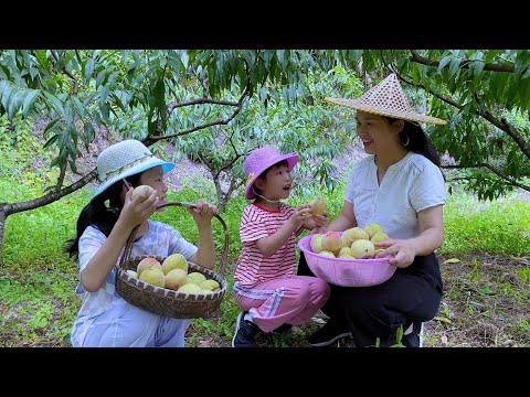 暑假第一站，带两个女儿一起摘桃子，好玩又好吃