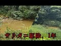 アメリカザリガニ駆除を始めて1年が経ちました【終わってた池を神湿地にする⑮】