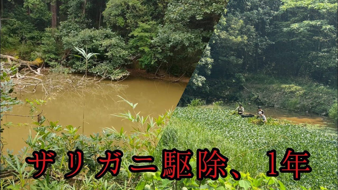 YouTube YouTube
