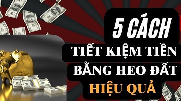 Tiết Kiệm Tiền Bằng Heo Đất | 5 Cách Tiết Kiệm Tiền Bằng Heo Đất | Tiền Bạc và Cuộc Sống