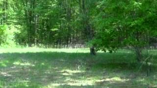 Lovett Drive Fredericksburg, VA 22407 - MLS #