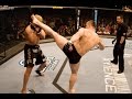 BEST OF - Mirko Cro Cop 2016 Highlights and knockouts