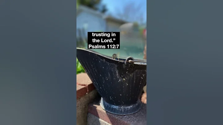 "A Steadfast Heart" #steadfastness #love #jesus #shorts ❤️✝️🙏