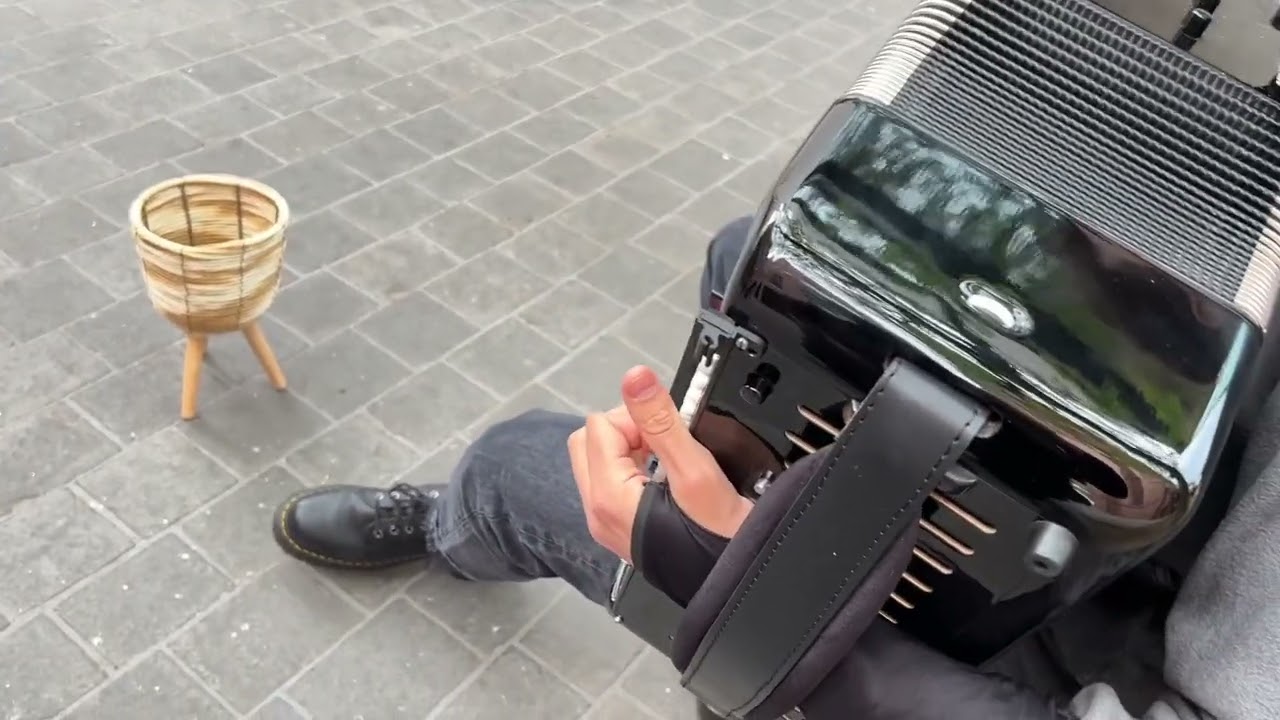 Sergey Sadovoy Akkordeon Frankfurt Altstadt