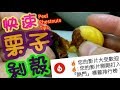 栗子剝殼🏆🏆🏆35(youtube龍虎榜)上榜影片🏅Peel Chestnuts Tips