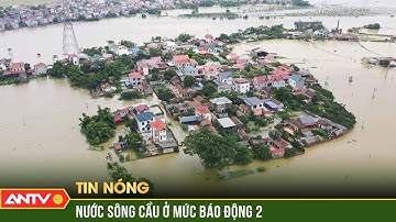 Lũ sông Cầu dâng cao, hàng trăm hộ dân ở Bắc Giang chìm trong biển nước | ANTV