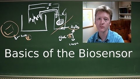 The original biosensor, the textbook glucometer