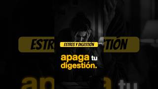 Estrés y mala digestión?! Acá te cuento más 🌱 #saludintegral #energia #microbiotaintestinal
