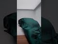 لامبرجيني هاريكان رائعة جدا Shorts Tiktok لامبرجيني هاريكان رائعة جدا Shorts Tiktok