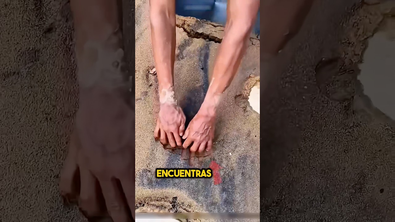 Entonces, nunca te pierdas esta cosa.