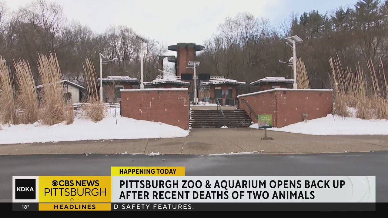 Pittsburgh Zoo and Aquarium reopens after recent deaths of 2 animals