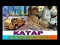 КАТАР | САМАЯ БОГАТАЯ СТРАНА В МИРЕ!