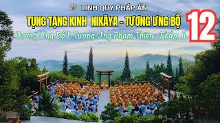 TỤNG TẠNG KINH NIKAYA 12 - Tương Ưng Bộ I, Tương Ưng Phạm Thiên , phẩm II