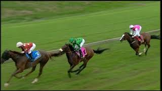 Vidéo de la course PMU PRIX CALL TELEBET TRACK & BALL FIXED ODDS ON 031 314 1155 MAIDEN PLATE