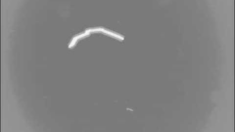 Ciliary microrobot by our group at the DGIST