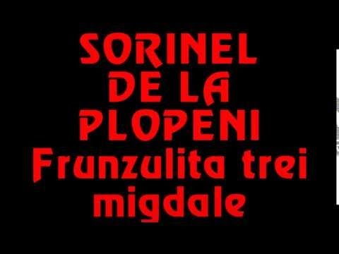 SORINEL DE LA PLOPENI FRUNZULITA TREI MIGDALE