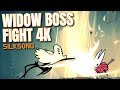 SILKSONG: WIDOW EPIC FIGHT 4K