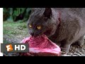 Pet Sematary (1989) - Killing Church Scene (8/10) | Movieclips