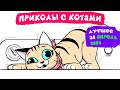 Приколы с котами. ЛУЧШЕЕ ЗА АПРЕЛЬ 2021 | Мемозг