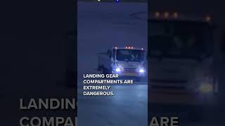2 found dead on Jetblue airplane
