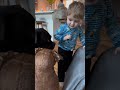 Little kids reacts to Cuddle Clone 🥹❤️ #cuddleclones #customstuffedanimal #doglover #emotional