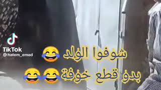 فيديوهات مضحكه عجول وخرفان يوم العيد الاضحى هتموت من الضحك