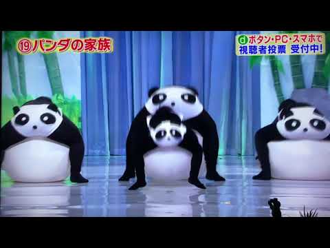 第９５回欽ちゃんの仮装大賞　２０１８年　１９番　パンダの家族