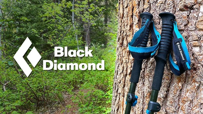 Black Diamond Distance Carbon FLZ - Bastones trail running