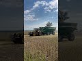 CRUZ ALTA, CBA 🇦🇷 ¡Cosecha de ensayo de chorreado al surco en SOJA con tratamiento biológico! 🌱