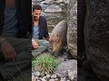 #comedy #viral #youtubeshorts #ai