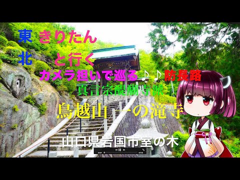 【きりたんと行く】カメラ担いで巡る♪♪防長路「真言宗醍醐寺派 鳥越山 一の滝寺」山口県岩国市室の木