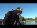 Diving Kings cave Florida crystal river &amp; seeing manatees