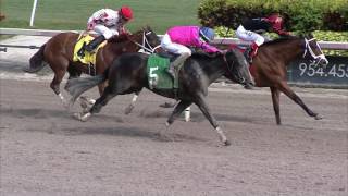 Gulfstream Park Replay Show | January 13, 2017